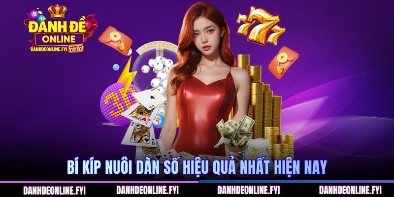 Bí kíp nuôi dàn số hiệu quả nhất hiện nay