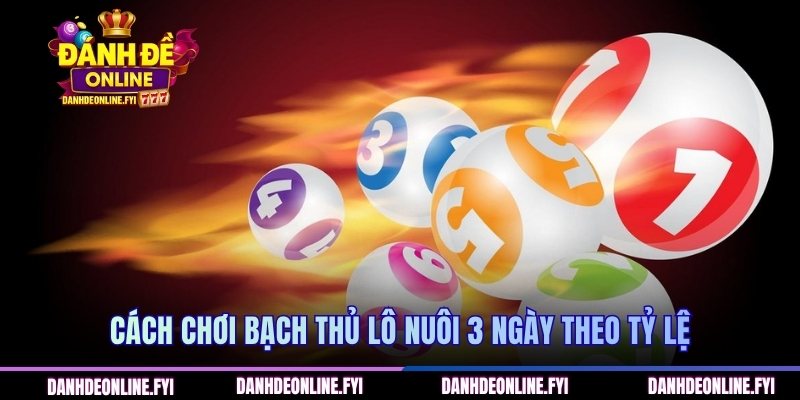 Cách chơi bạch thủ lô nuôi 3 ngày theo tỷ lệ