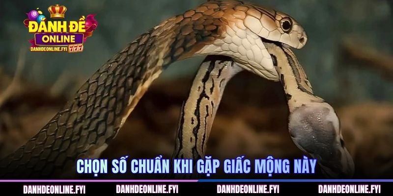 Chọn số chuẩn khi gặp giấc mộng này