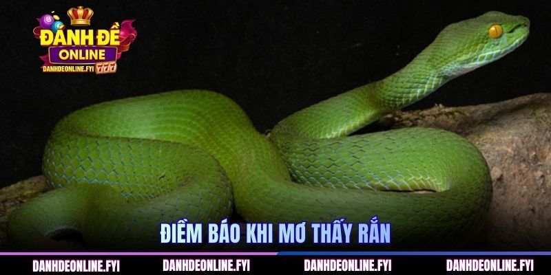 Điềm báo khi mơ thấy rắn