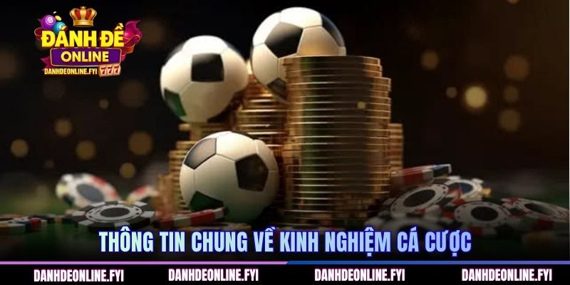 Lợi ích khi nắm rõ kinh nghiệm cá cược