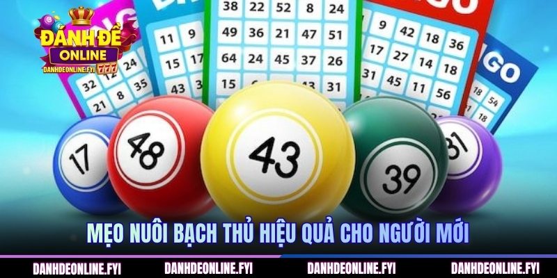 Mẹo nuôi bạch thủ hiệu quả cho người mới