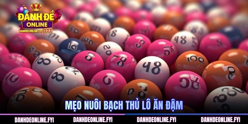 Mẹo nuôi bạch thủ lô ăn đậm