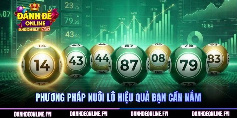 Phương pháp nuôi lô hiệu quả bạn cần nắm