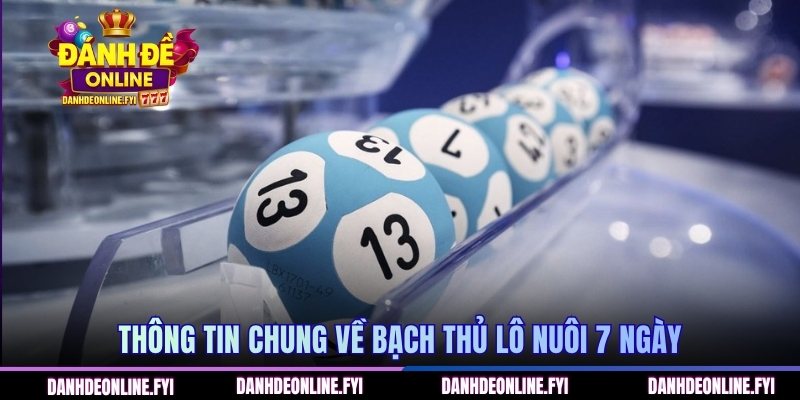 Thông tin chung về bạch thủ lô nuôi 7 ngày