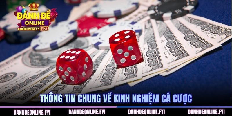 Thông tin chung về kinh nghiệm cá cược
