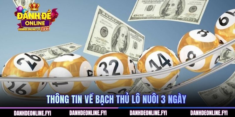 Thông tin về bạch thủ lô nuôi 3 ngày 