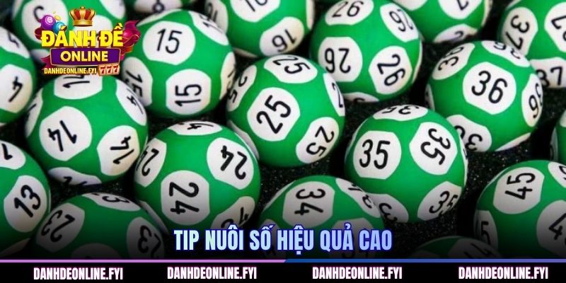 Tip nuôi số hiệu quả cao