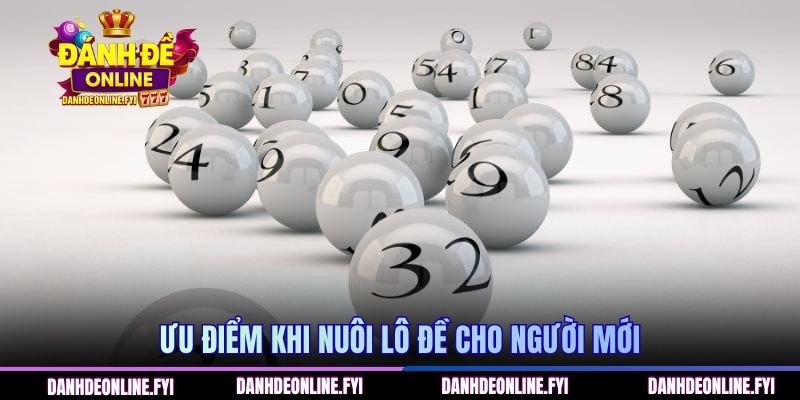 Ưu điểm khi nuôi lô đề cho người mới
